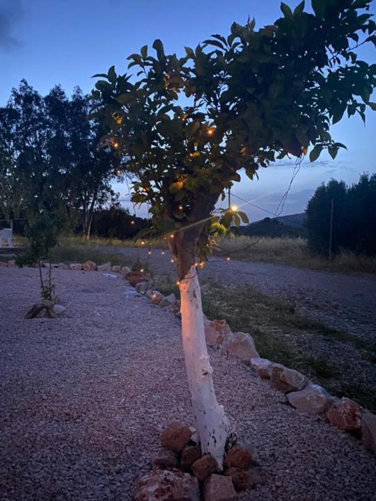 Thalia'S House Villa Pastida Dış mekan fotoğraf